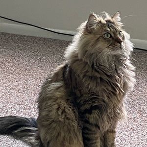 Meet your Posher, Ben